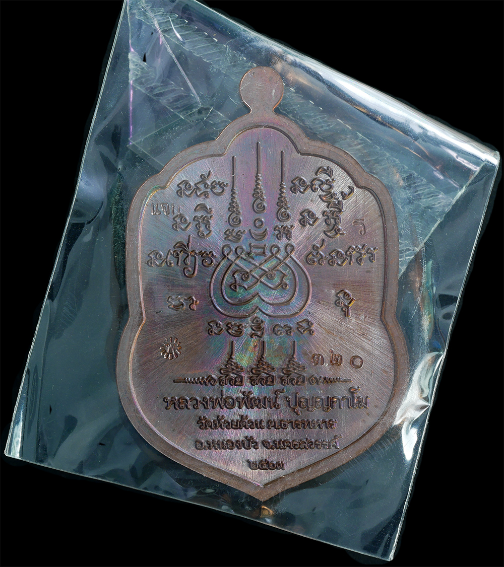 2.jpg - เหรียญเสมามังกรคู่ 3รวย โค๊ต ๙ รอบ 9 ตัว หลวงพ่อพัฒน์ วัดห้วยด้วน อ.หนองบัว จ.นครสวรรค์ ปี2563 เนื้อทองแดง เลข 320 พระสร้างได้สวยงาม น่าเก็บสะสมบูชา | https://kamulet.in.th