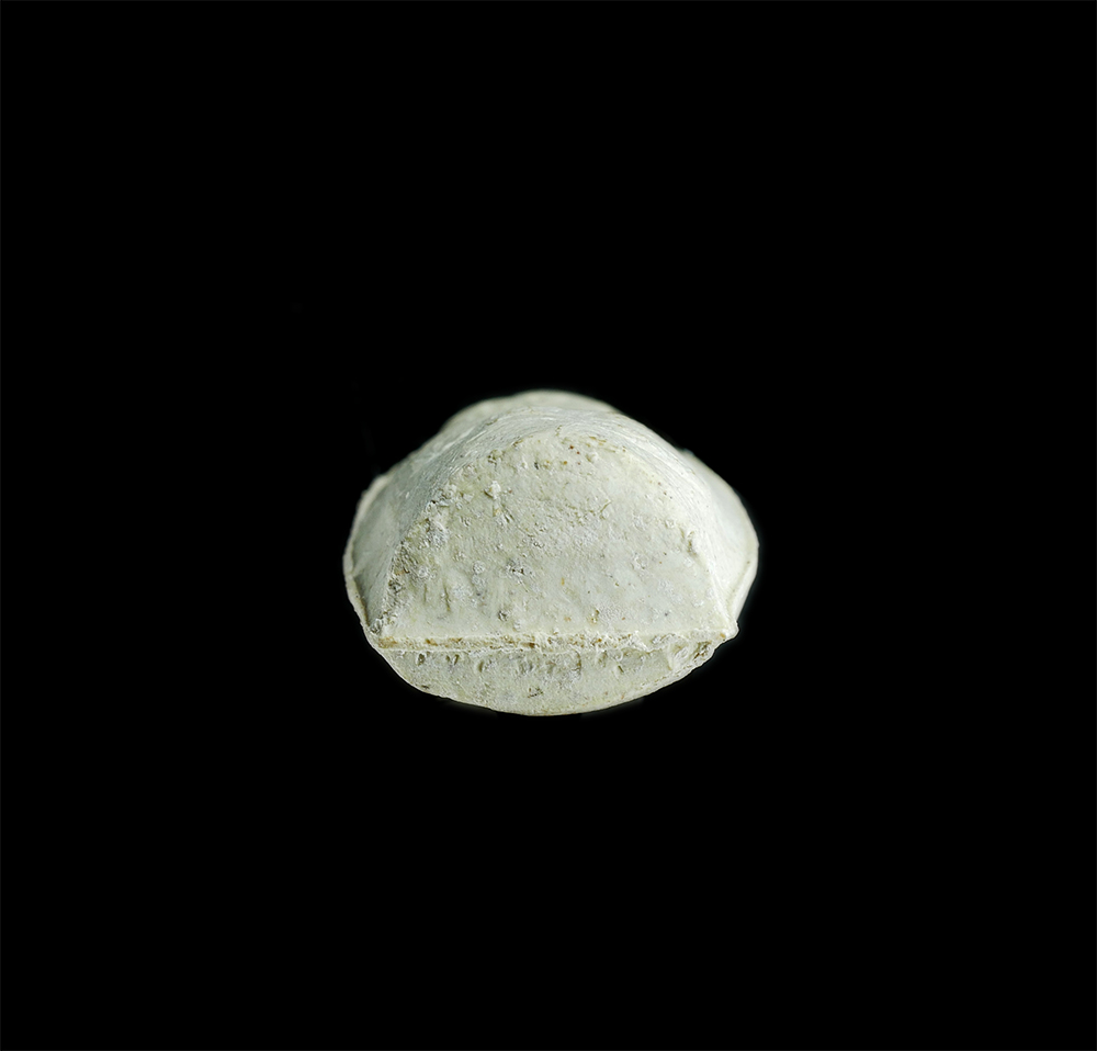 3.jpg - หัวนิ้วโป้งจำลอง หลวงพ่อคูณ ปริสุทโธ วัดบ้านไร่ จ.นครราชสีมา เนื้อผงพุทธคุณ ลงอักขระยันต์ เมตตา มหานิยมดี แจกทหาร ตำรวจ และคนสนิท ปี 2536 | https://kamulet.in.th