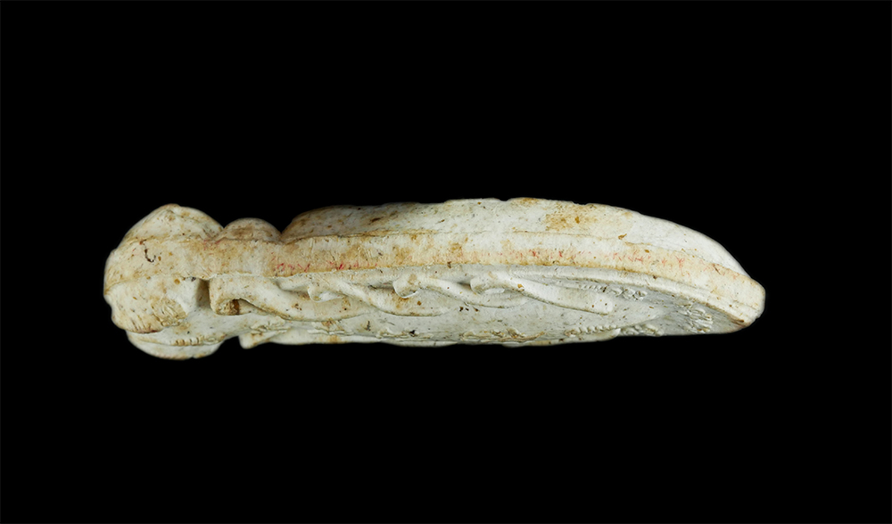 3.jpg - ตัวต่อ/ตั๊กแตน อาจารย์ หน่อง เนื้อผงเก่า | https://kamulet.in.th