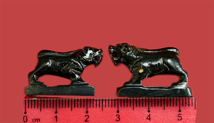 2.jpg - เสือดำเขาควายแกะ หลวงพ่อสิน วัดละหารใหญ่ ปี2557 จำนวน 2 ตัว หลวงพ่อสิน(พระครูสุภัททาจารคุณ) วัดละหารใหญ่ อ.บ้านค่าย จ.ระยอง หลวงพ่อสินผู้สืบทอดพุทธาคม [..] | https://kamulet.in.th