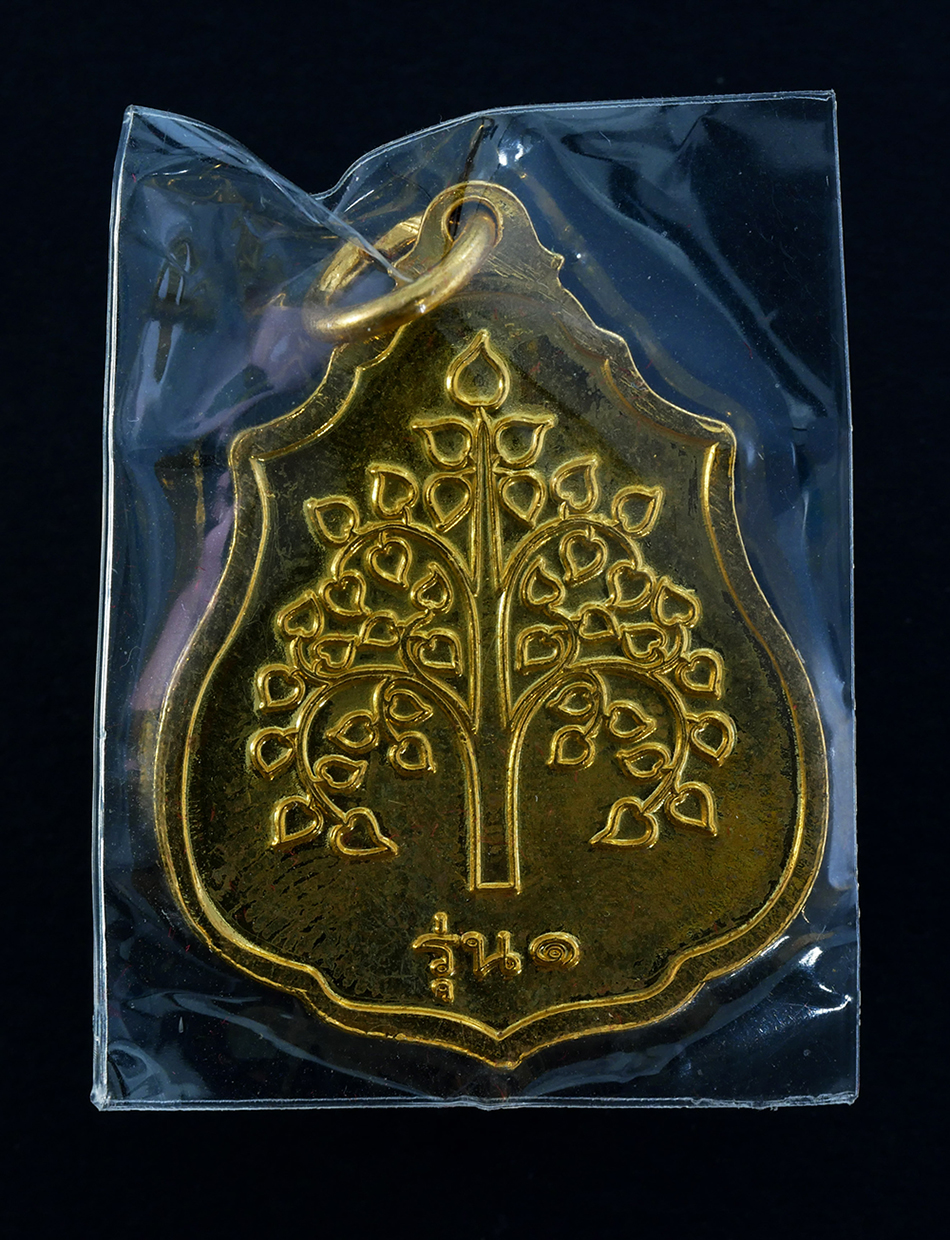 2.jpg - เหรียญพ่อท่านคล้าย วาจาสิทธิ์ วัดจันดี(ต้นกำเนิด) รุ่น1 อ.ช้างกลาง จ.นครศรีธรรมราช เนื้อกะไหล่ทอง พร้อมกล่องเดิมๆ | https://kamulet.in.th