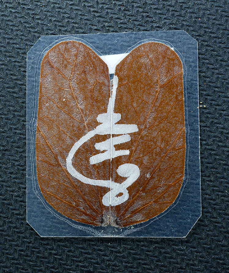 2.jpg - ใบพญากาหลง วัดพลวง ต.กระทิง อ.เขาคิชฌกูฎ จ.จันทบุรี ปี2553 พุทธคุณช่วยเสริมบารมี เมตตามหานิยมเป็นเลิศ โชคลาภ วาสนา ค้าขาย เจรจา-ติดต่อ ขอความช่วยเหลือ [..] | https://kamulet.in.th