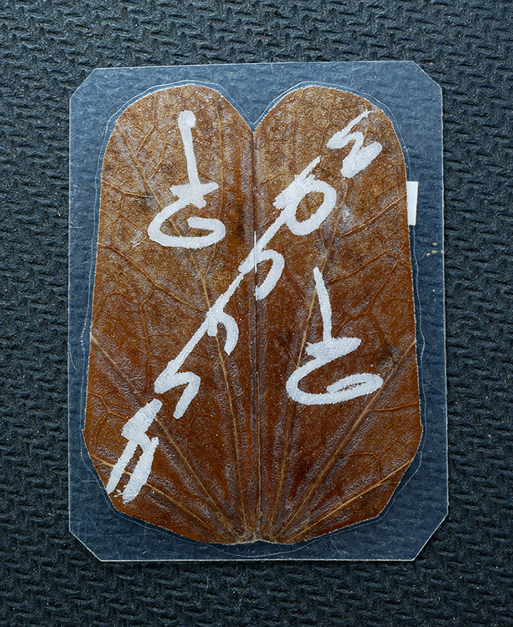 2.jpg - ใบพญากาหลง วัดพลวง ต.กระทิง อ.เขาคิชฌกูฎ จ.จันทบุรี ปี2553 พุทธคุณช่วยเสริมบารมี เมตตามหานิยมเป็นเลิศ โชคลาภ วาสนา ค้าขาย เจรจา-ติดต่อ ขอความช่วยเหลือ [..] | https://kamulet.in.th