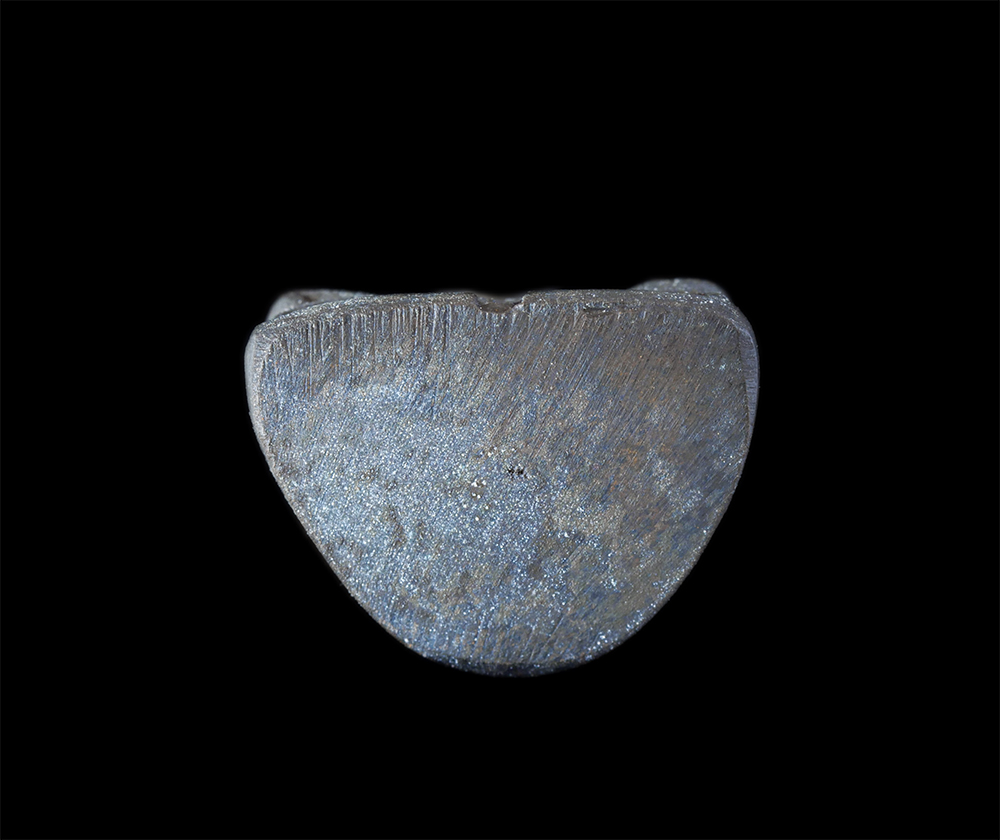 4.jpg - รูปหล่อหลวงปู่ปาน คุตตสติ วัดกุดไผท อ.เมือง จ.สกลนคร ปี2539 เนื้อนวะโลหะ พระเก่าสวย พิธีใหญ่ พร้อมกล่องเดิมๆ น่าเก็บสะสมบูชา | https://kamulet.in.th