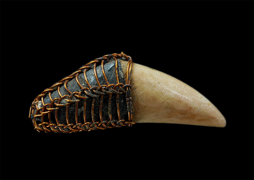 2.jpg - เขี้ยวเก่า ถักด้วยลวดแบบโบราณ เก่าๆ จ้ดเป็นเครื่องรางชนิดหนึ่ง ป้องกันคุณไสย แคล้วคลาด ปลอดภัย | https://kamulet.in.th