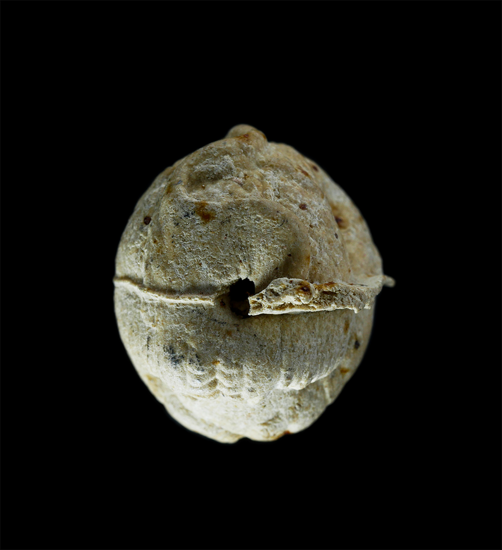 3.jpg - ลูกอมหนุมานแผลงฤทธิ์ เนื้อผงรายกุมาร หลวงพ่อสาคร ปี2550 วัดหนองกรับ อ.บ้านค่าย จ.ระยอง พระครูมนูญธรรมวัตร (หลวงพ่อสาคร มนุญโญ) เกจิชื่อดังเมืองระยองศิ [..] | https://kamulet.in.th