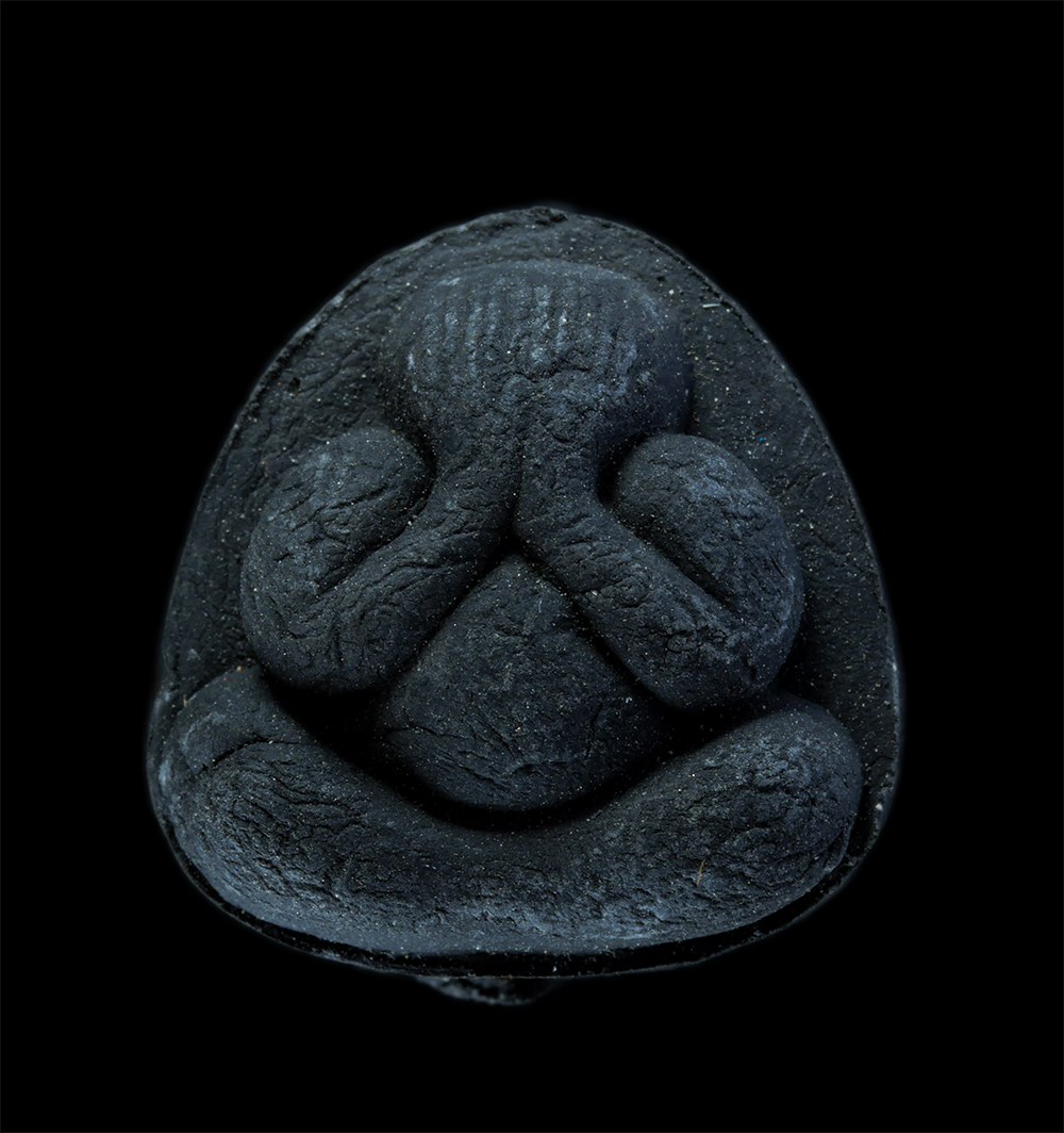 1.jpg - พระปิดตาหลังหนุมานเชิญธง หลวงปู่เกลี้ยง มนุญฺโญ (พระครูพิศิษฐชโลปการ) วัดเนินสุทธาวาส อ.เมือง จ.ชลบุรี ปี2545 เนื้อผงพุทธคุณ ผงใบลาน หลวงปู่เกลี้ยง พร [..] | https://kamulet.in.th