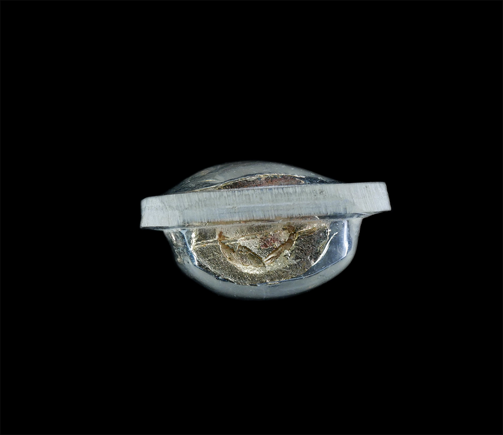 3.jpg - เสือหล่อโบราณ หลวงพ่อหวล ขันติสาโร วัดชาวเหนือ ต.บ้านไร่ อ.ดำเนินสะดวก จ.ราชบุรี เนื้อทองผสม เสือเก่าสวย | https://kamulet.in.th