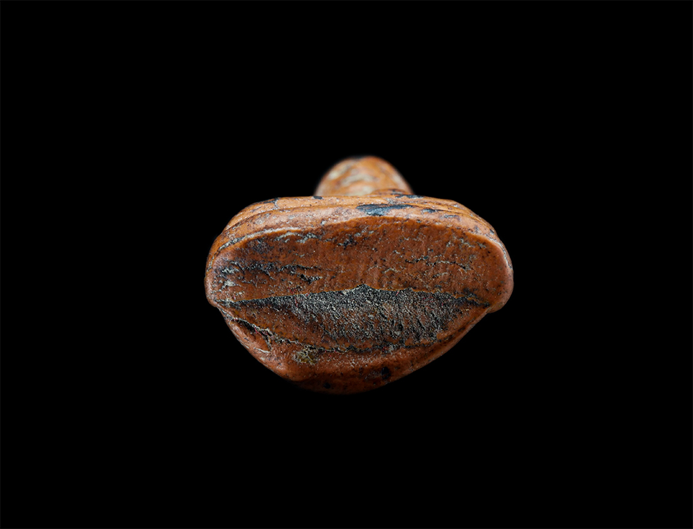 3.jpg - พระผงรูปเหมือนหลวงพ่อเงิน วัดบางคลาน รุ่น1 ที่ระลึกในการสร้างเมรุ วัดโสภณาราม จ.ปทุมธานี เนื้อดิน พระเก่าสวย มวลสารดี พร้อมกล่องเดิมๆ | https://kamulet.in.th