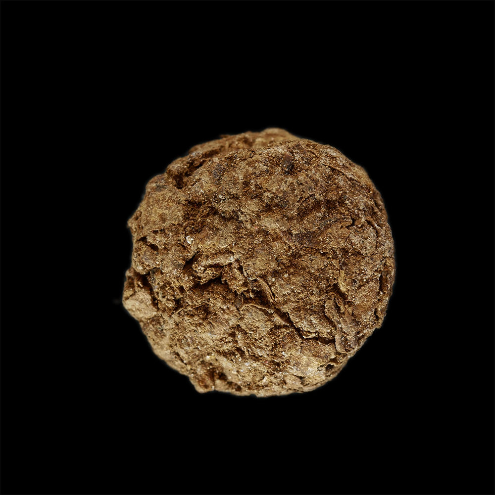 1.jpg - ลูกอมชานหมาก หลวงปู่ทิม อตฺตสนฺโต(พระครูสังวรสมณกิจ ) วัดพระขาว อ.บางบาล จ.พระนครศรีอยุธยา ปี2540 พร้อมรูปถ่าย สุดยอดคุณวิเศษชานหมากหลวงปู่ทิม พุทธคุณ [..] | https://kamulet.in.th