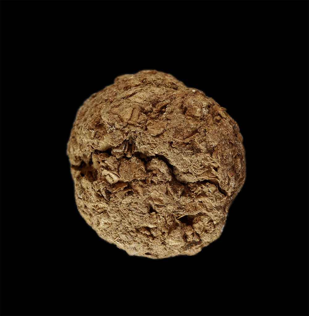 2.jpg - ลูกอมชานหมาก หลวงปู่ทิม อตฺตสนฺโต(พระครูสังวรสมณกิจ ) วัดพระขาว อ.บางบาล จ.พระนครศรีอยุธยา ปี2540 พร้อมรูปถ่าย สุดยอดคุณวิเศษชานหมากหลวงปู่ทิม พุทธคุณ [..] | https://kamulet.in.th