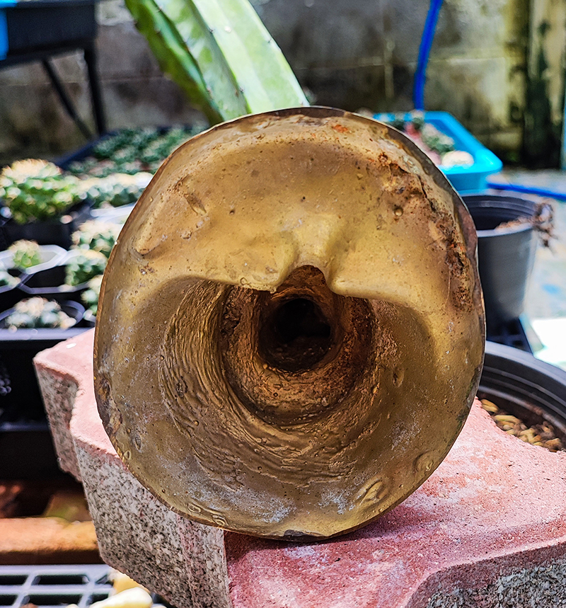 3p.jpg - พระบูชาหลวงพ่อโต วัดป่าเลไลยก์ จ.สุพรรณบุรี เนื้อทองเหลือง ขนาดประมาณ 3 นิ้ว | https://kamulet.in.th