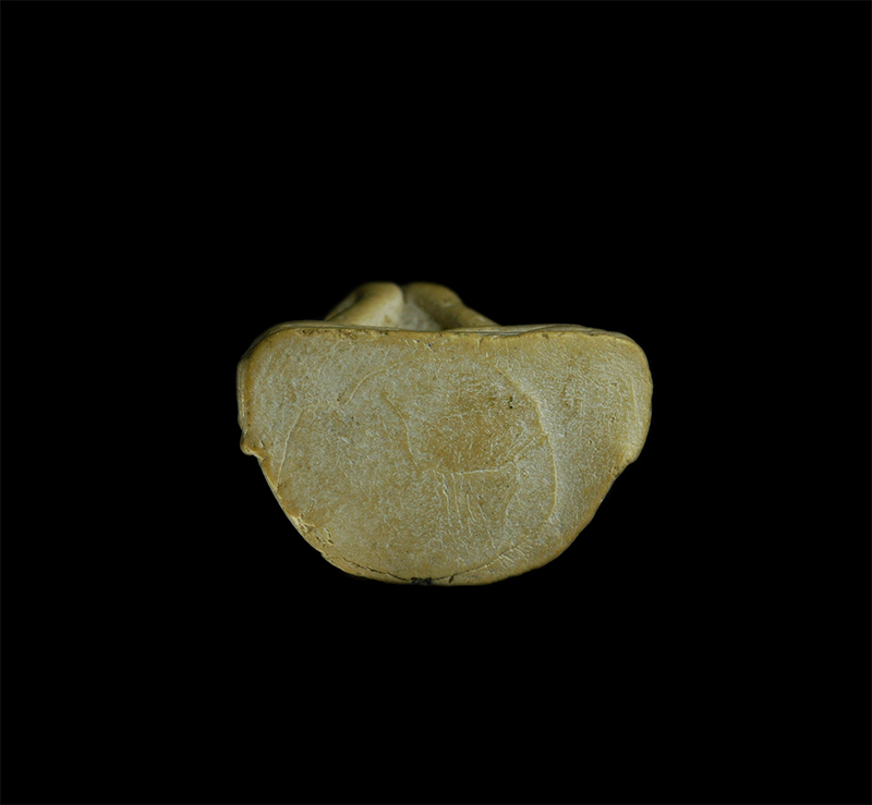 6.jpg - พระปิดตา อุดกริ่ง สมเด็จพระสังฆราช พระญาณสังวร วัดบวรนิเวศวิหาร กรุงเทพฯ ปี2535 เนื้อผงพุทธคุณ ผงว่าน พระเก่าสวย | https://kamulet.in.th