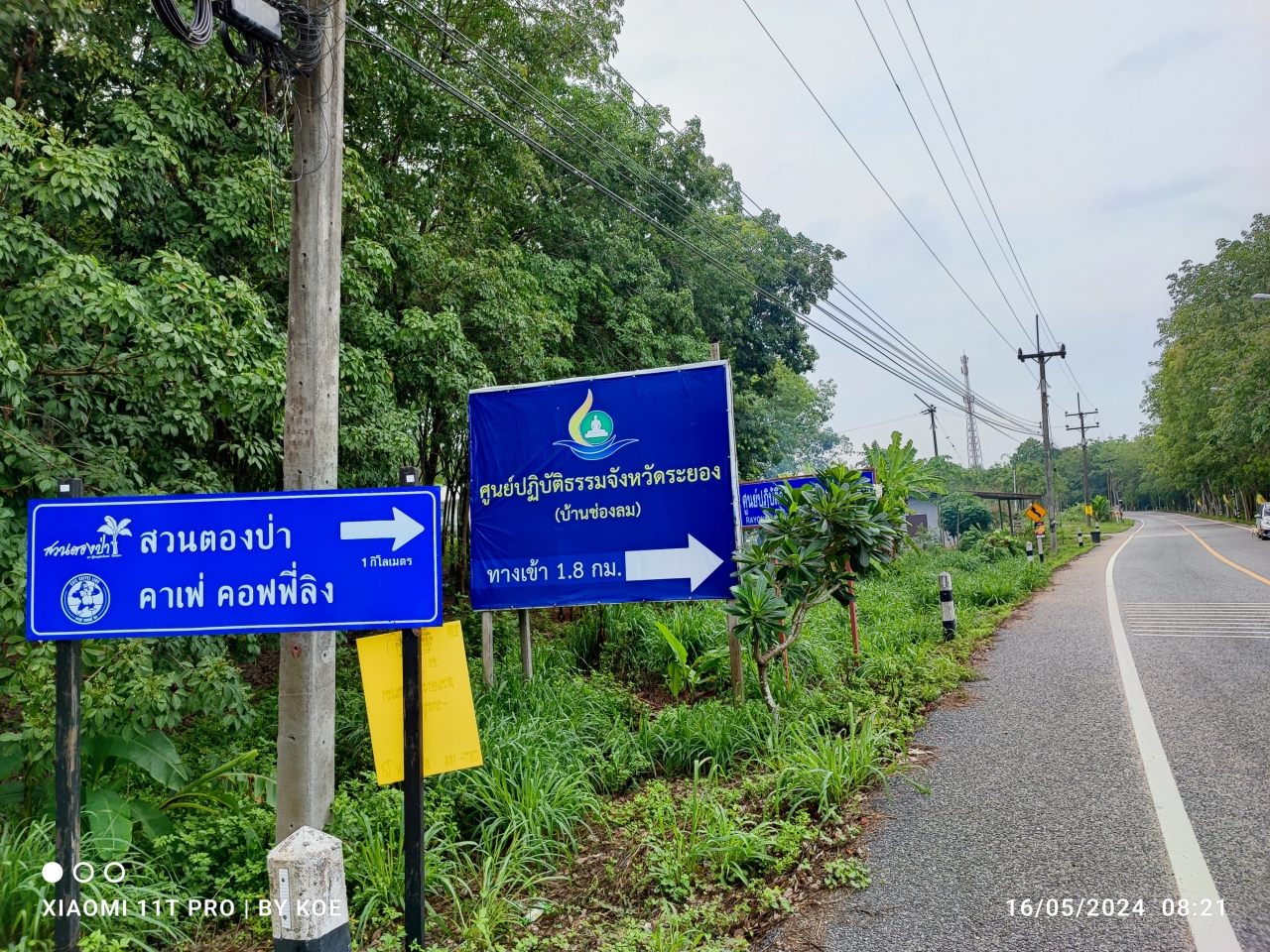 1_1.jpg - 900,000 บาท ที่ดิน1 ไร่ โฉนดครุฑแดง ที่ดินสวย ไม่ต้องถมสร้างบ้านได้เลย สีเหลียมผืนผ้า หน้ากว้างประมาณ 25เมตร  ถนนบ้านค่าย-วังจันทร์ เข้าสามแยกศาลเจ้าห [..] | https://kamulet.in.th