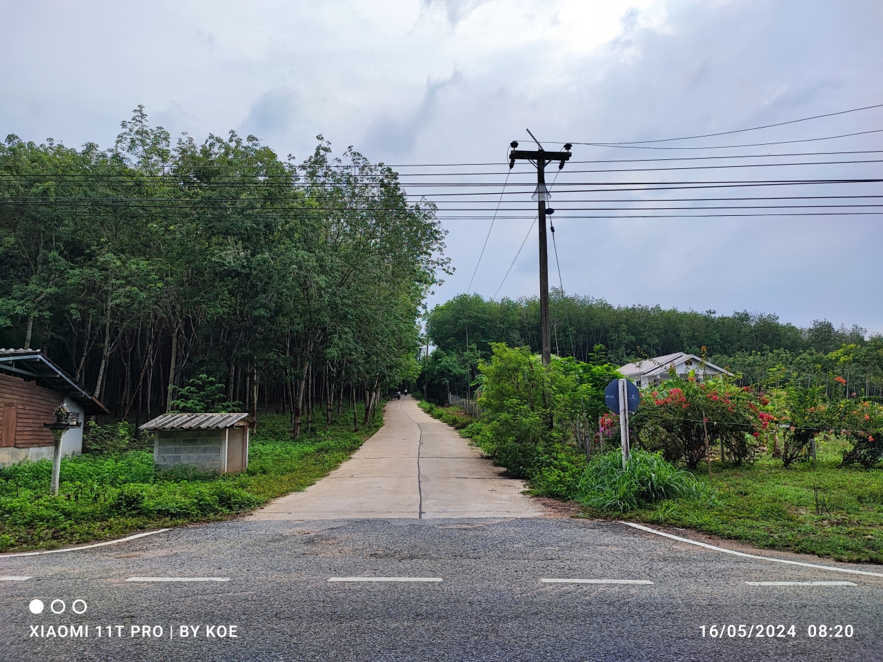 1_2.jpg - 900,000 บาท ที่ดิน1 ไร่ โฉนดครุฑแดง ที่ดินสวย ไม่ต้องถมสร้างบ้านได้เลย สีเหลียมผืนผ้า หน้ากว้างประมาณ 25เมตร  ถนนบ้านค่าย-วังจันทร์ เข้าสามแยกศาลเจ้าห [..] | https://kamulet.in.th