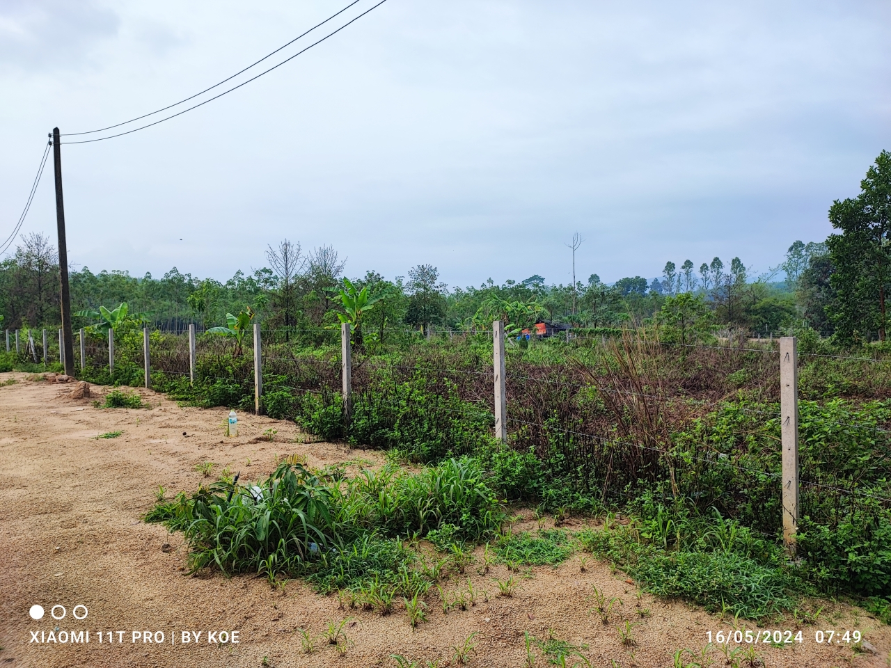 1_3.jpg - 900,000 บาท ที่ดิน1 ไร่ โฉนดครุฑแดง ที่ดินสวย ไม่ต้องถมสร้างบ้านได้เลย สีเหลียมผืนผ้า หน้ากว้างประมาณ 25เมตร  ถนนบ้านค่าย-วังจันทร์ เข้าสามแยกศาลเจ้าห [..] | https://kamulet.in.th