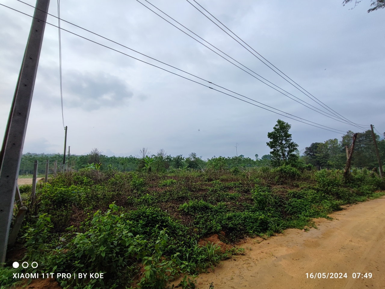 1_4.jpg - 900,000 บาท ที่ดิน1 ไร่ โฉนดครุฑแดง ที่ดินสวย ไม่ต้องถมสร้างบ้านได้เลย สีเหลียมผืนผ้า หน้ากว้างประมาณ 25เมตร  ถนนบ้านค่าย-วังจันทร์ เข้าสามแยกศาลเจ้าห [..] | https://kamulet.in.th