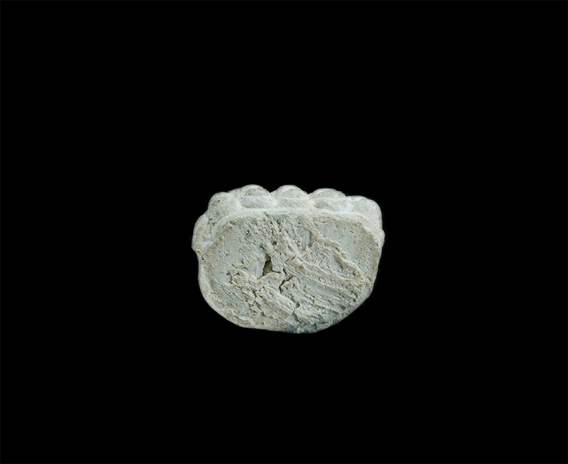 3.jpg - พระชัยวัฒน์ เนื้อผงอุดกริ่ง หลวงพ่อเกาะลอย วัดศรีมหาราชา จ.ชลบุรี | https://kamulet.in.th