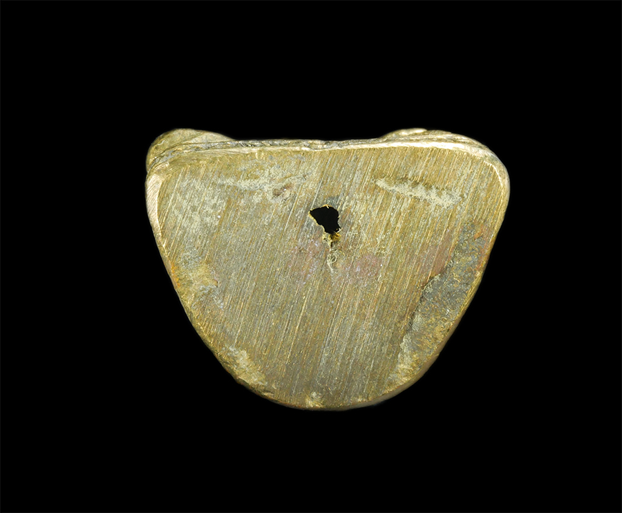 2.jpg - รูปหล่อหลวงปู่พิมพา วัดหนองตางู อ.บรรพตพิสัย จ.นครสวรรค์ รุ่นสงฆ์น้ำ ปี2536 เนื้อทองผสม พระเก่าสวย พร้อมกล่องเดิมๆ | https://kamulet.in.th