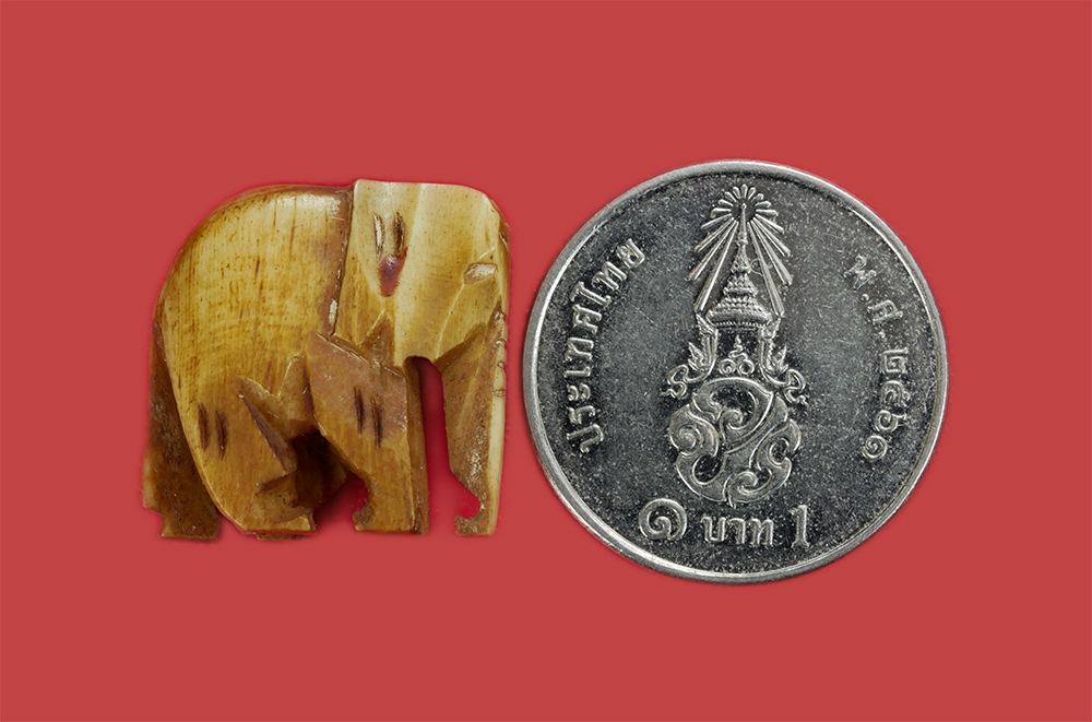 3.jpg - ช้างสาริกา ออกวัดโพธิ์สัมพันธิ์ จ.ชลบุรี | https://kamulet.in.th