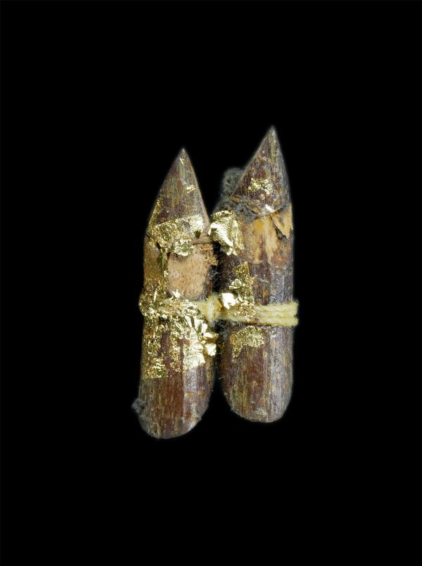 สาริกาลิ้นทอง รุ่น 1 หลวงพ่อจำนงค์ ญาณธมฺโม, น.ธ.เอก, ป.ธ.๔. พธ.บ(พระครูปริยัติธรรมานุศาสก์) วัดศรีนวล จ.ขอนแก่น เสริมเสน่ย์ เมตตา [..] | https://kamulet.in.th