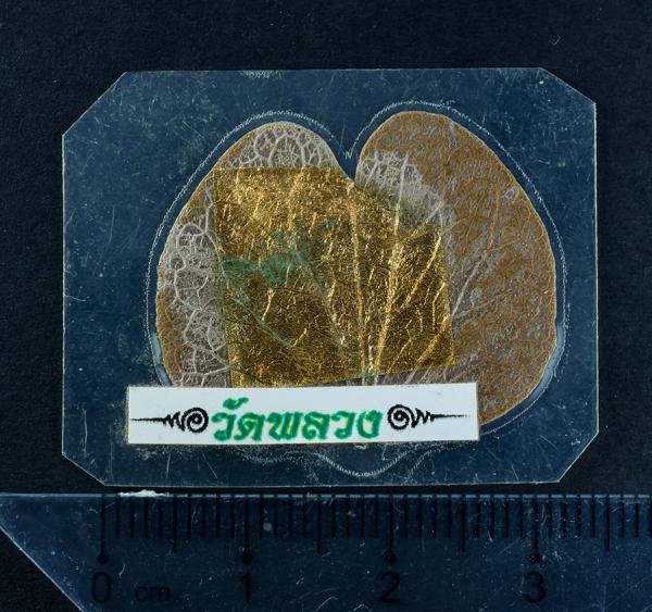 ใบพญากาหลง วัดพลวง ต.กระทิง อ.เขาคิชฌกูฎ จ.จันทบุรี ปี2553 พุทธคุณช่วยเสริมบารมี เมตตามหานิยมเป็นเลิศ โชคลาภ วาสนา ค้าขาย เจรจา-ติ [..] | https://kamulet.in.th