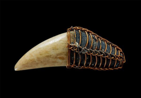 เขี้ยวเก่า ถักด้วยลวดแบบโบราณ เก่าๆ จ้ดเป็นเครื่องรางชนิดหนึ่ง ป้องกันคุณไสย แคล้วคลาด ปลอดภัย | https://kamulet.in.th