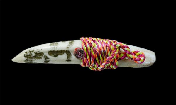 เขี้ยวเก่า ถักด้วยเชือกสีรุ้ง จารยันต์ เก่าๆ จ้ดเป็นเครื่องรางชนิดหนึ่ง ป้องกันคุณไสย แคล้วคลาด ปลอดภัย | https://kamulet.in.th