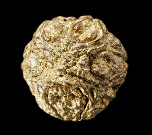 พระพุทธเจ้าห้าพระองค์ ปิดทอง หลวงปู่จอม นาคเสโน(พระครูอาทรธรรทวินัย) วัดป่าบ้านดอนคู่ ต.น้ำปลีก อ.เมือง จ.อำนาจเจริญ | https://kamulet.in.th