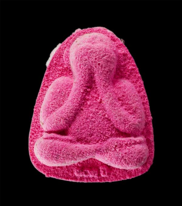 พระปิดตา เลื่อนสมณศักดิ์ รุ่นเศรษฐีอุณาโลม หลวงพ่อพัฒน์ ปุญญกาโม วัดห้วยด้วน ต.ธารทหาร อ.หนองบัว จ.นครสวรรค์ อายุวัฒนะมงคล 101 ปี  [..] | https://kamulet.in.th