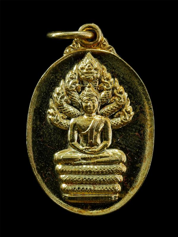 เหรียญพระนาคปรก สมเด็จพระวันรัตน (แดง สีลวฑฺฒโน) วัดโพธินิมิตรสถิตมหาสีมาราม ธนบุรี กรุงเทพฯ ปี2538 เนื้อทองทิพย์ พระเก่าสวย น่าเก [..] | https://kamulet.in.th