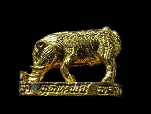 พญาหมูดูดทรัพย์ รุ่น9 ดูดเรียกทรัพย์ พระอาจารย์สมคิด นันทิโย วัดบึงตาต้า จ.ระยอง ปี2556 เนื้อทองทิพย์  พระเก่าสวย มวลสารดี น่าเก็บ [..] | https://kamulet.in.th