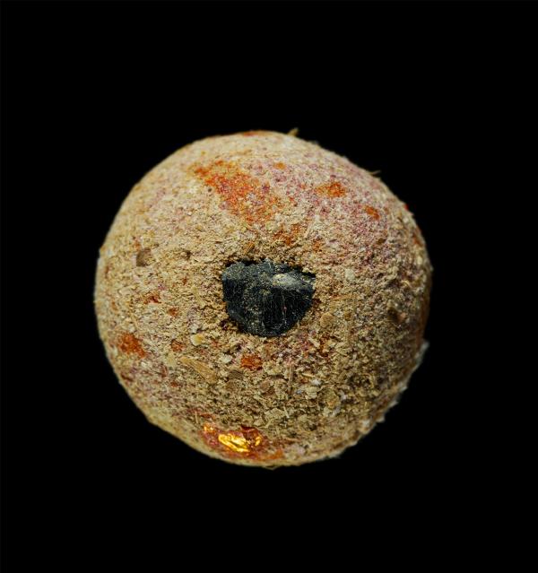 ลูกอมผงพรายกุมาร และกระดาษยันต์สารพัดกัน หลวงพ่อสาคร มนุญโญ วัดหนองกรับ อ.บ้านค่าย จ.ะรยอง ปี2554 พระเก่าสวย มวลสารดี #1 | https://kamulet.in.th